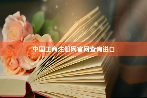 中国工商注册网官网查询进口