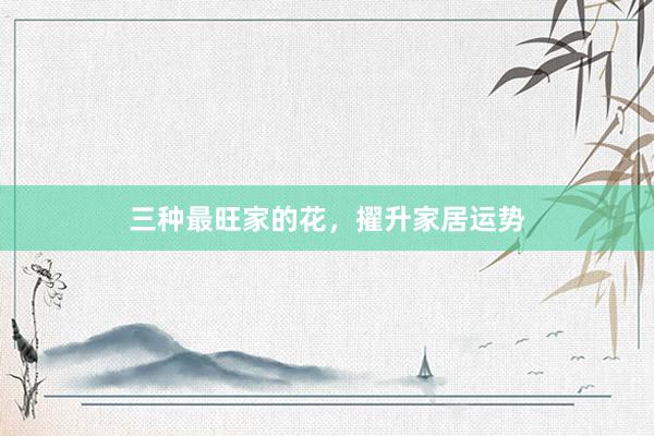 三种最旺家的花，擢升家居运势
