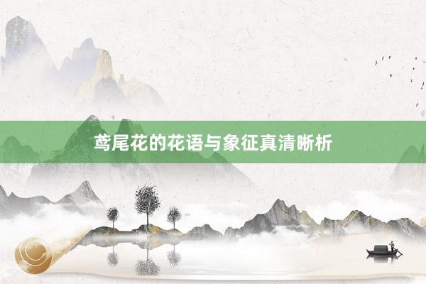 鸢尾花的花语与象征真清晰析